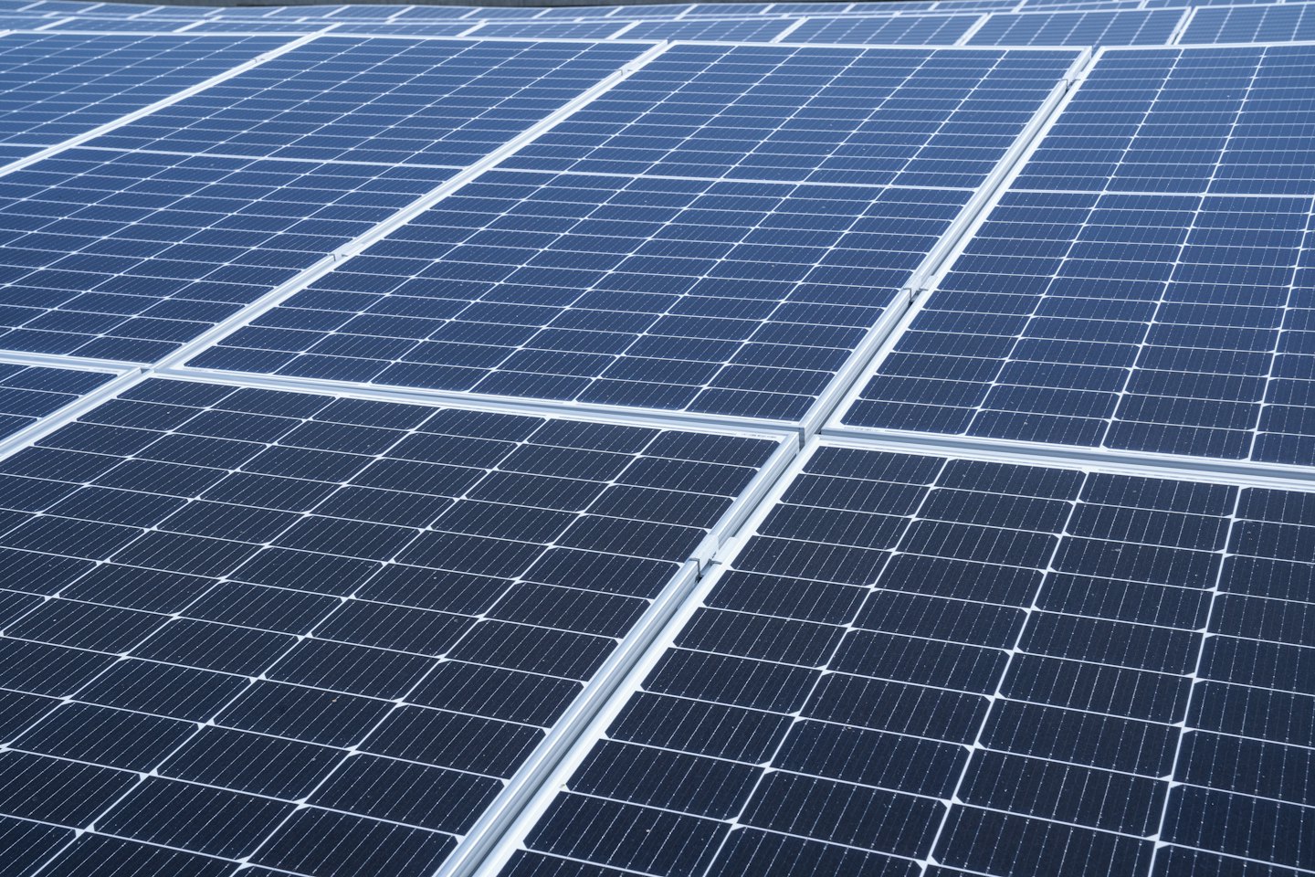 Rows of dark blue solar panels installed on metallic structures.
